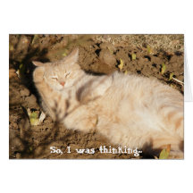 So, I was thinking... (Catnap) Card