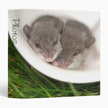 So Sleepy Baby Mice 1.5" Photo Album Vinyl Binders