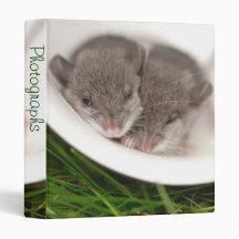 So Sleepy Baby Mice 1" Photo Album Vinyl Binder