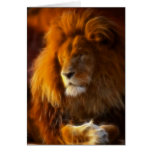 Soaking Up the Sun, King of the Jungle Lion II cards