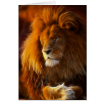 Soaking Up the Sun, King of the Jungle Lion II Card