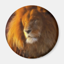 Soaking Up the Sun, King of the Jungle Lion II Fridge Magnets
