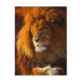 Soaking Up the Sun, King of the Jungle Lion II Post Cards