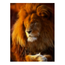 Soaking Up the Sun, King of the Jungle Lion II Post Cards