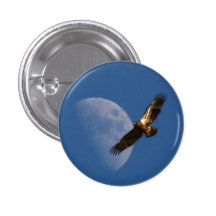 Soaring Eagle Button
