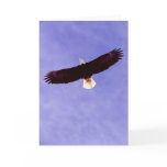 Soaring Eagle Greeting Card