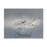 Soaring Eagle Post Card