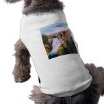 Soaring High II Pet Clothing
