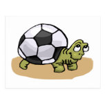 Soccer Ball Turtle Post Cards