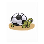 Soccer Ball Turtle Postcard