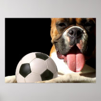 Soccer boxer poster