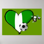 naija flag