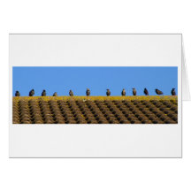 socialites greeting card