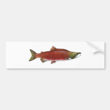 Sockeye Salmon Bumper Sticker