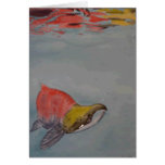 Sockeye Salmon cards