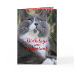 Socks cat  birthday card..- ffor any occasion