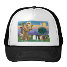 Soeur Frances bénissant 5 chats Casquettes
