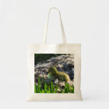 Soft and Fuzzy Bag