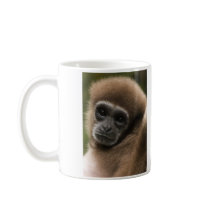 Soft and Fuzzy Mugs