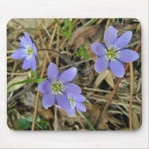 Soft Blue Hepatica Wildflower Series Mouse Pad