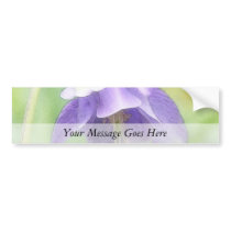 Soft Blue Petals - Aquilegia Bumper Sticker