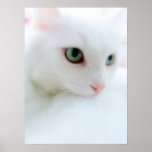 Soft Clouds Print