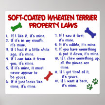 SOFT-COATED WHEATEN TERRIER PL2 POSTERS