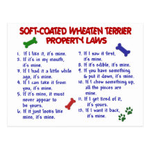 SOFT-COATED WHEATEN TERRIER Property Laws 2 Post Card