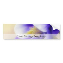Soft Focus Blue Columbine Bumper Stickers