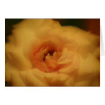 Soft Focus Lens  Flower Card