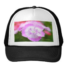 Soft Focus Sweet Williams Hats