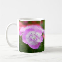 Soft Focus Sweet Williams Mugs