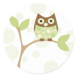Soft Green Baby Owl