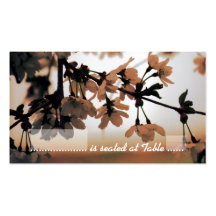 Soft Light Peach Place Cards Business Card Template