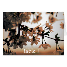 Soft Light Peach Table Cards