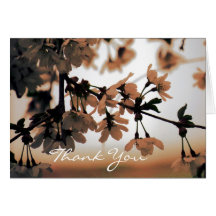 Soft Light Peach Thank You Cards (Blank Inside)