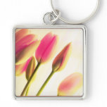 Soft Light Tulips, floral photography, template keychains