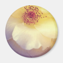 Soft Pastel Petals Magnet