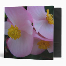 Soft Pink Begonia - A Summer Rainbow 3 Ring Binders