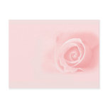 Soft pink rose postcards