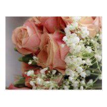Soft Pink Roses and Baby's Breath Postcards
