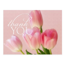 Soft Pink Tulips Thank You Postcard