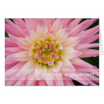 Soft Pink & White Dahlia DSC4463 Greeting Cards