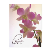 Soft purple orchid postcard