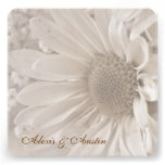 Soft Sepia Wedding Daisy Announcements