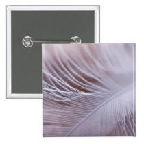 Soft white feather macro photography buttons