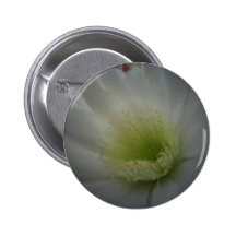 Soft White Flower Pinback Button
