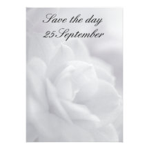 Soft white petals ... invitation