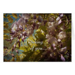 Soft Wisteria Blooms Photo Mother's Day Card