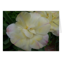 soft yellow and pink card